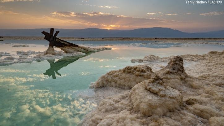 COMMENTARY: Dead Sea Comes to Life!